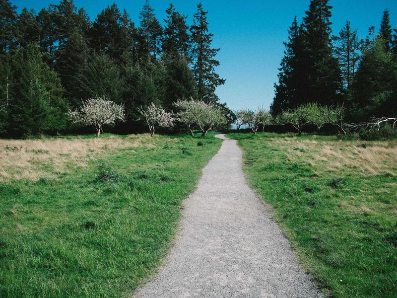 胶片相机<br>sybmuzg.cn 柯达金200试炼